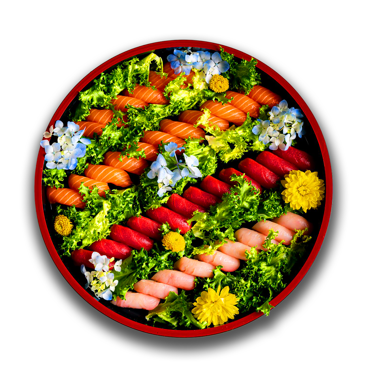 Sushi Nigiri Lover - $195